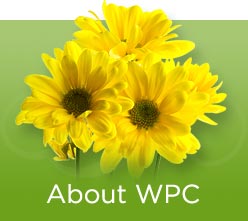 About WPC Banner