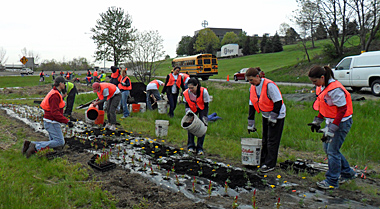 Planting along Parkway West at 22-30-60 interchange, Spring 2011