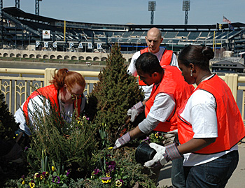 Direct Energy volunteers plant daffodils and pansies in Downtown Planters, spring 2010