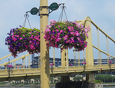 Hanging Basket on Rachel Carson Bridge, 2011