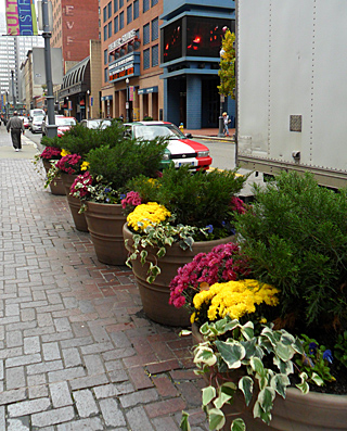 Downtown Pittsburgh Planters, Fall 2011
