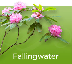 Fallingwater Banner