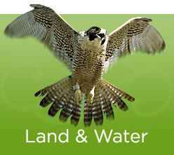 Land & Water Banner