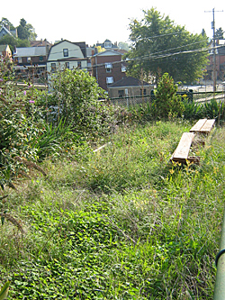 Greenfield School before implementation
