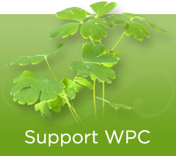 Support WPC Banner